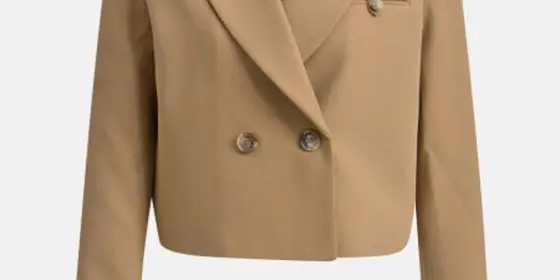SMITH & SOUL Damen Blazer, camel ansehen