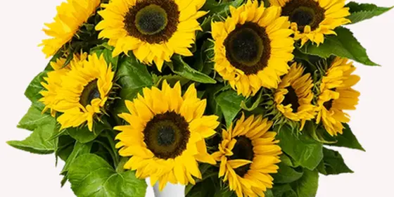 Blumenstrauß ansehen