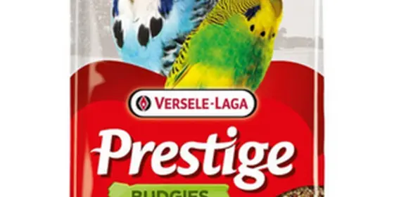 Vogelfutter ansehen